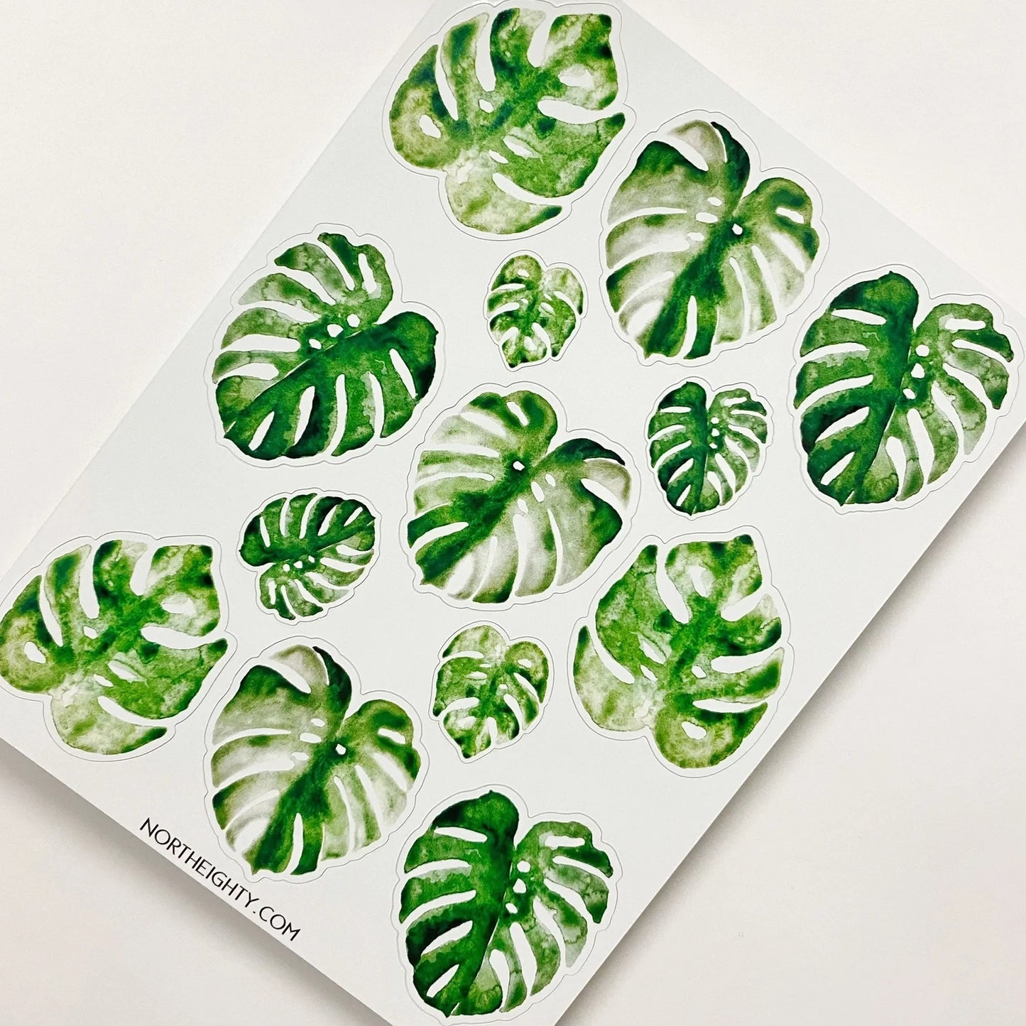 Monstera Decals