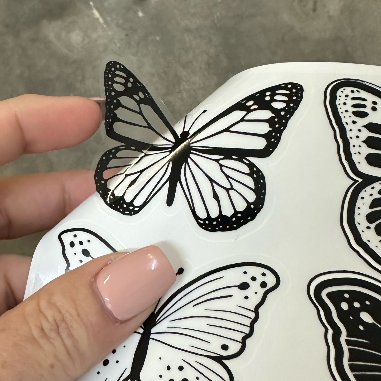 Dreamer Box - Butterflies