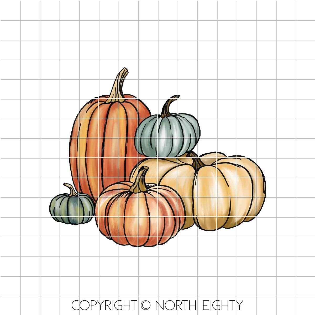Pumpkins Sublimation png - Fall Pumpkins - Sublimation Design Digital Download - PNG