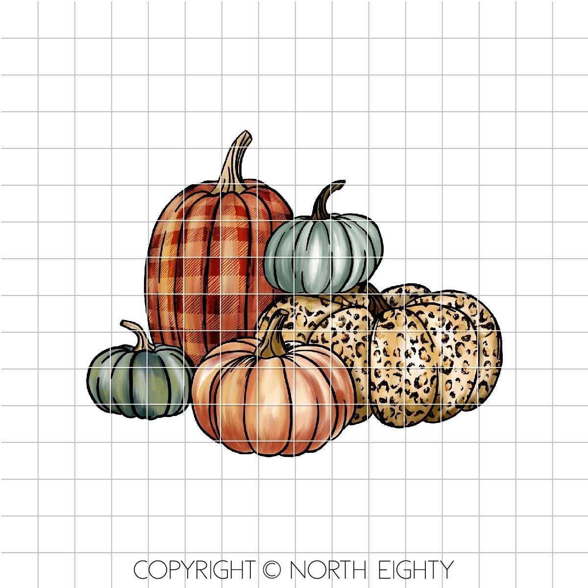Leopard Pumpkin png - Fall Pumpkins - Leopard - Sublimation Design Digital Download - PNG